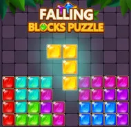  Falling Blocks Puzzle