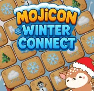 Mojicon Winter Connect