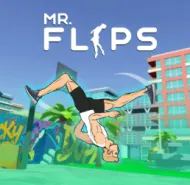 Mr Flip