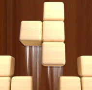 Woodoku Block Puzzle